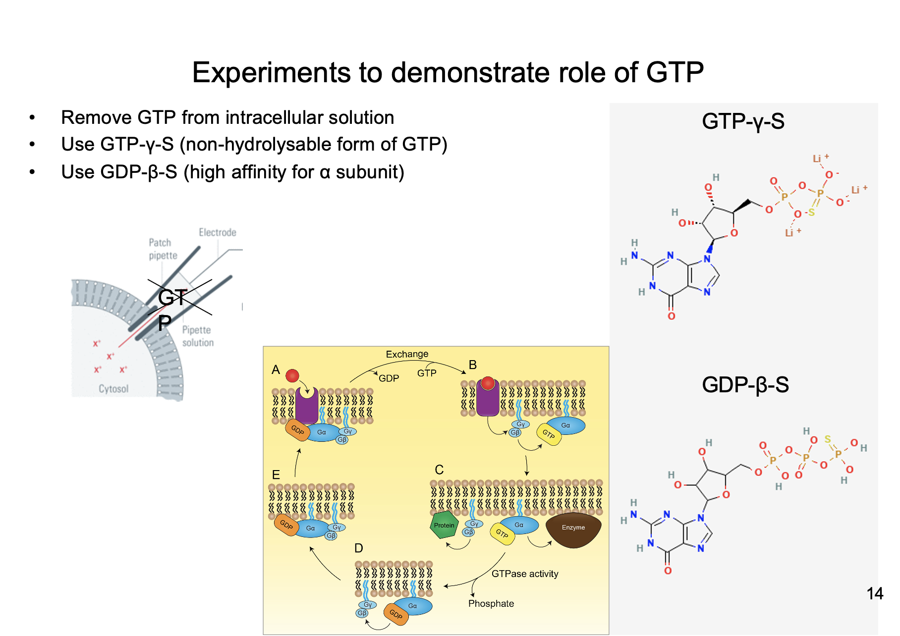 
1. Remove GTP from intracellular solution
2. Use GTP-y-S
3. Use GDP-B-S