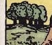 <p>Tree</p>