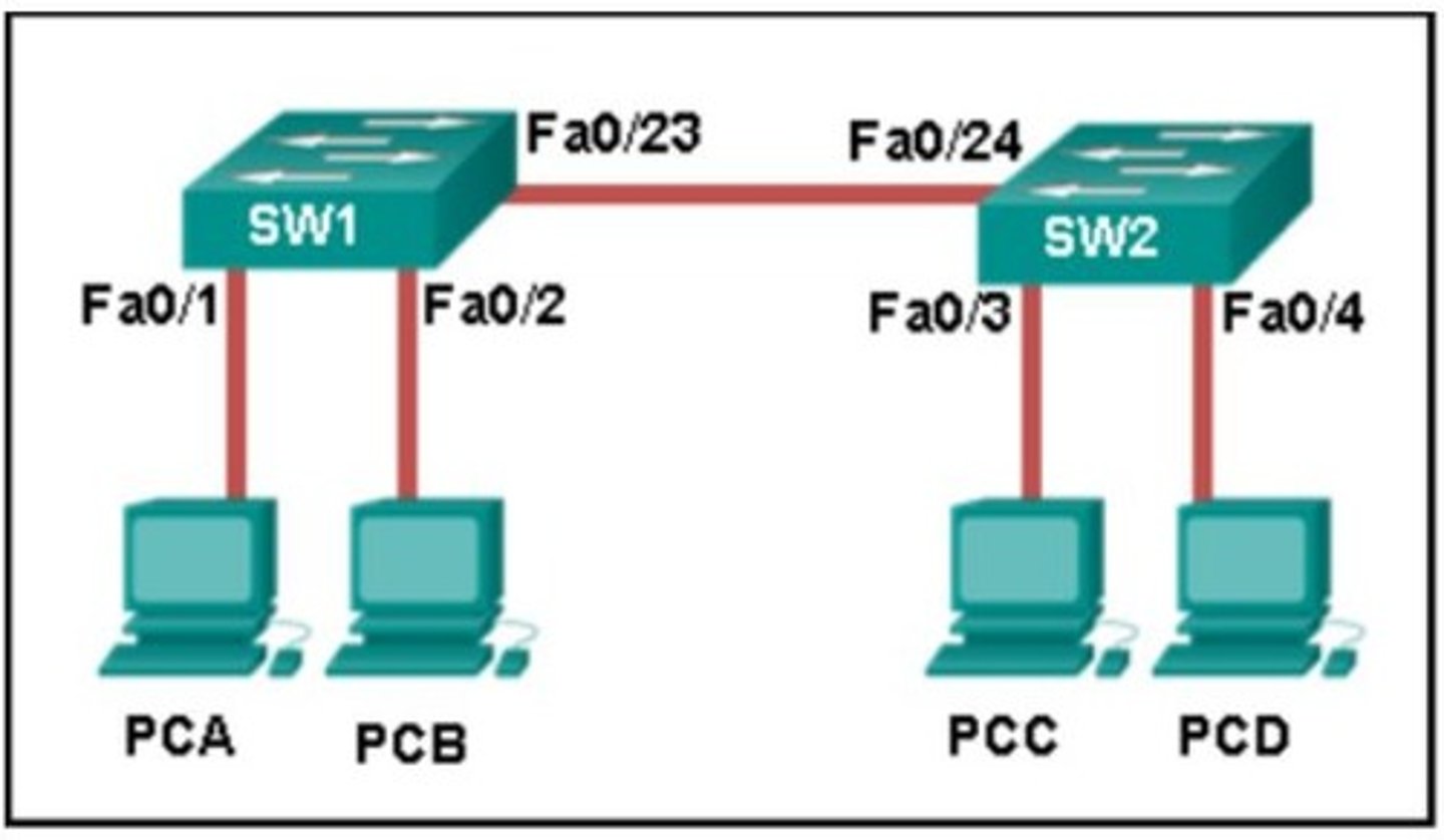 <p>SW1 floods the frame on all ports on SW1, excluding the port through which the frame entered the switch.</p>