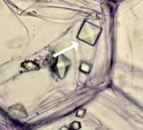 <p>Give the crystal name and its description</p>