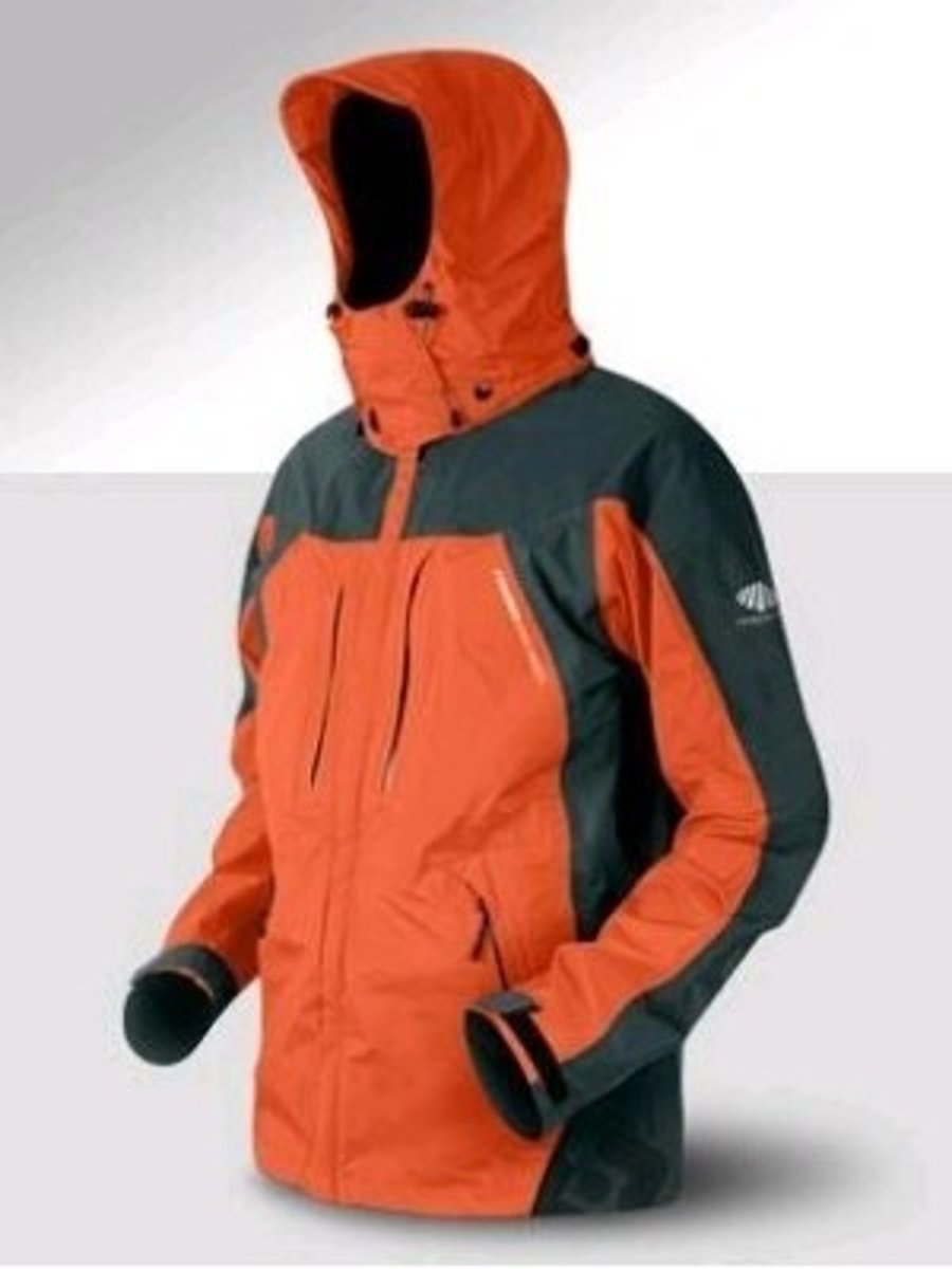 <p>the ski jacket</p>