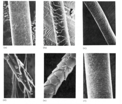 outer covering covered with hair, fur 