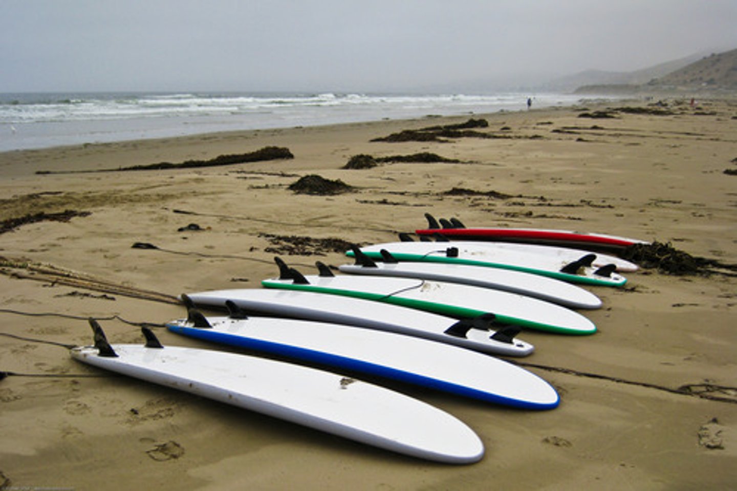 <p>surfboard/sailboard</p>