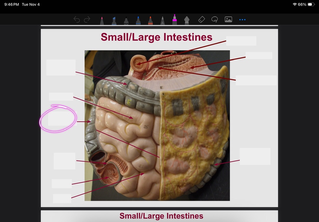 <p>What is this?</p>