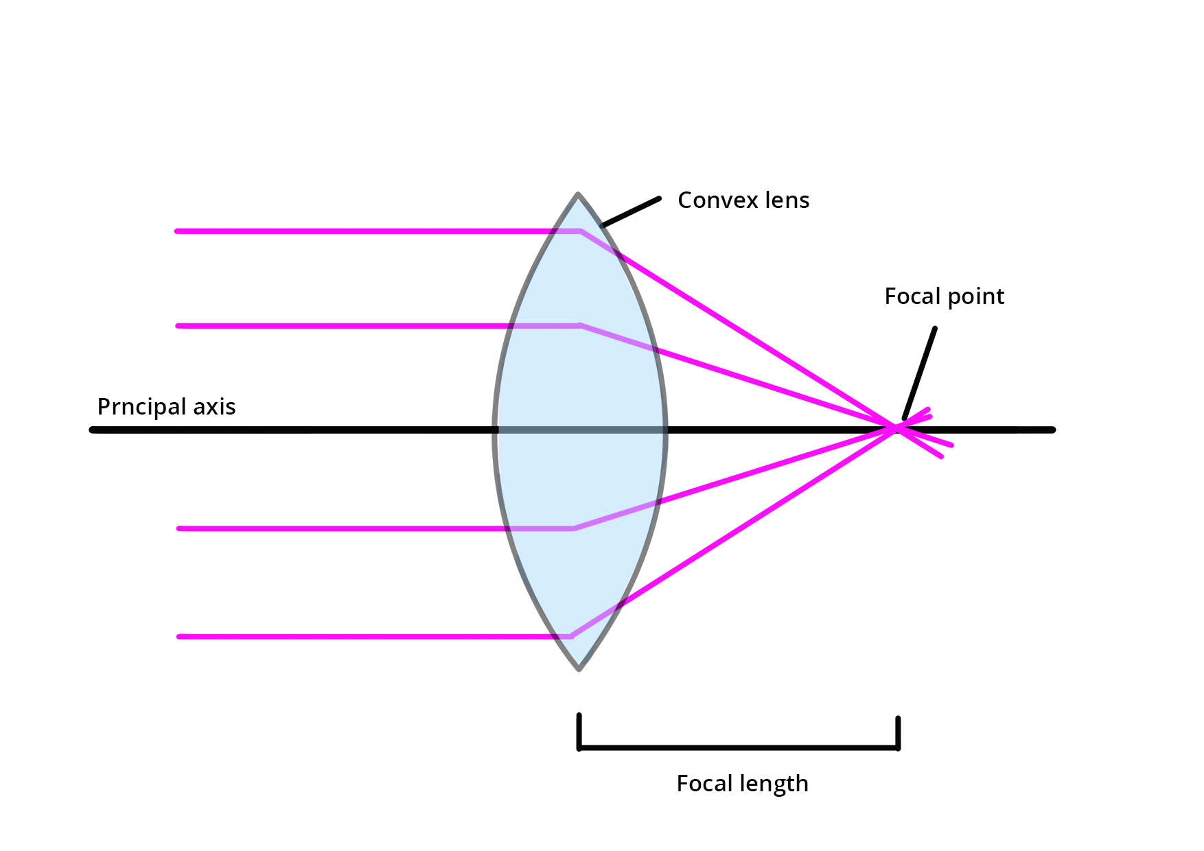 <p>A convex lens bulges outwards. It causes rays of light parallel to the axis to be brought together at the principal focus.</p><p>The principal focus of a convex lens is where rays hitting the lens parallel to the axis all meet.</p><p>The three rules for refraction:</p><ul><li><p>An incident ray parallel to the axis refracts through the lens and passes through the principal focus on the other side.</p></li><li><p>An incident ray passing through the principal focus refracts through the lens and travels parallel to the axis</p></li><li><p>An incident ray passing through the centre of the lens carries on in the same direction.</p></li></ul>