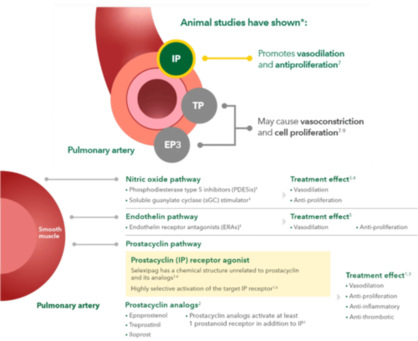 <p>•&nbsp;Diarrhea/nausea, jaw pain, headache, decrease hemoglobin</p><p>• Hyperthyroidism (still need observations to confirm)</p>