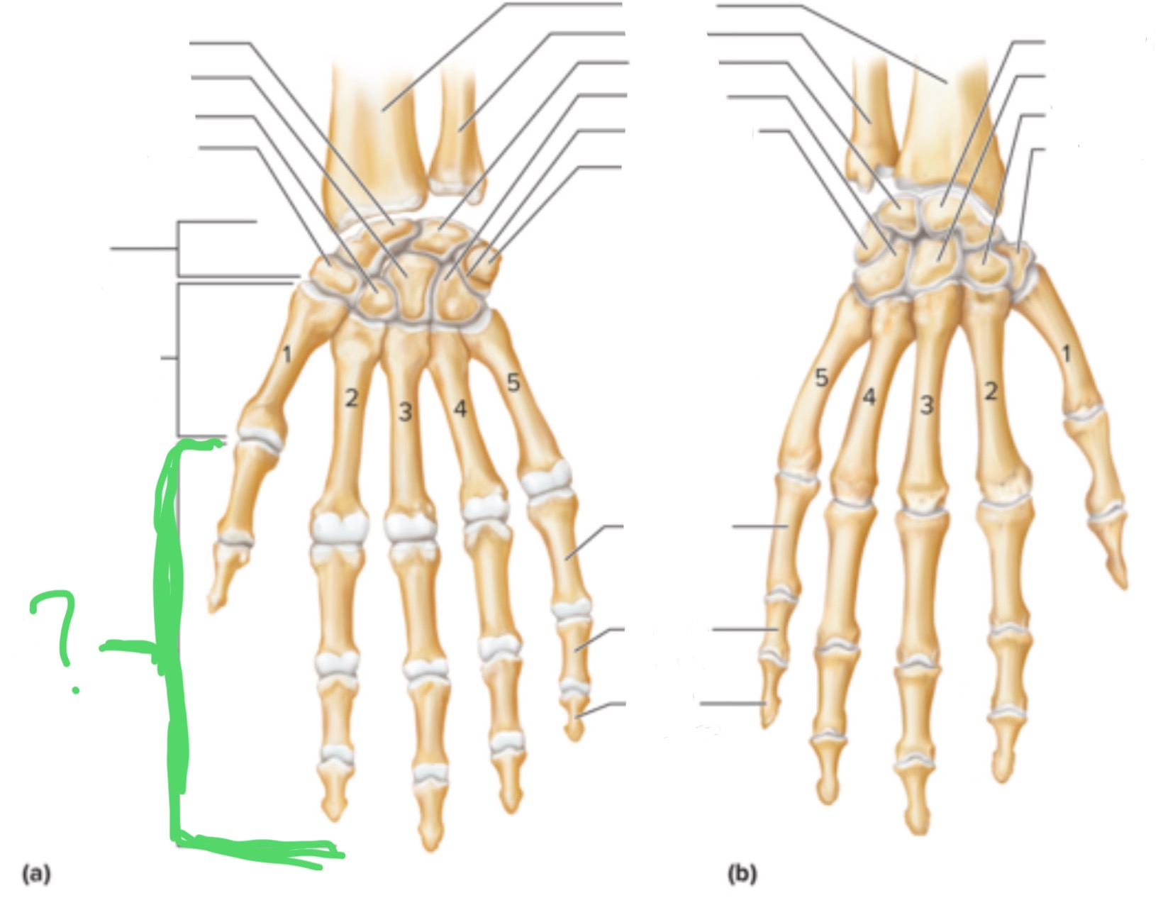 <p>What are these?</p>
