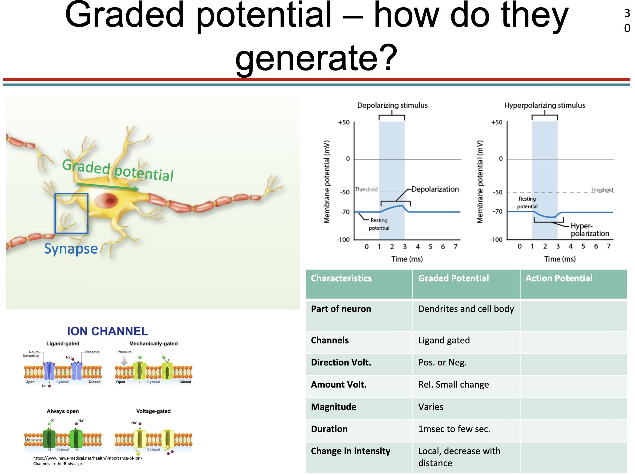 <p>Graded Potential</p>