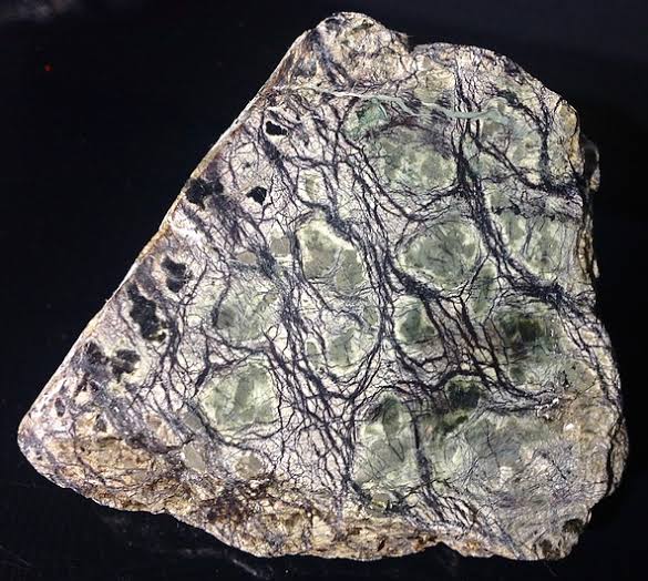 <p>Identify the metamorphic rock</p>