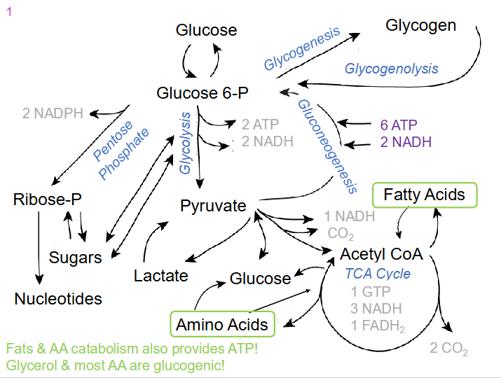<p>DIAGRAM ON SLIDE 5</p>