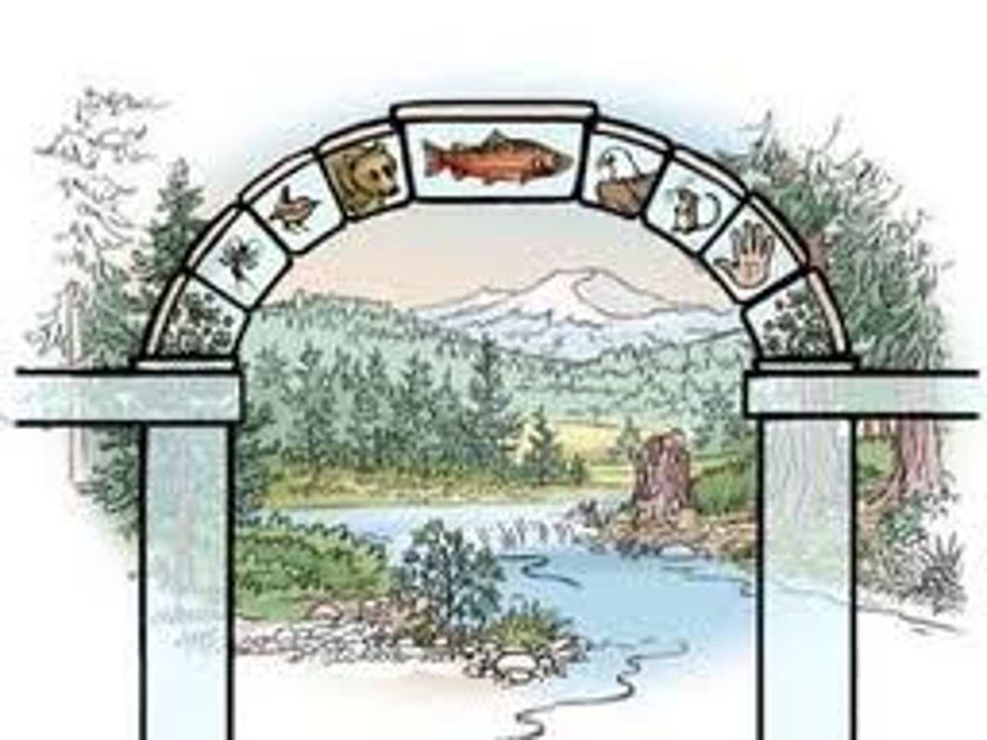 <p>organisms that have a disproportionately large effect on their ecosystem relative to their abundance</p><p>if they are removed, the ecosystem would collapse</p>