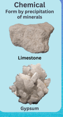 <p>Chemical origin: they come from the precipitation of chemical elements present in sea water or transported in solution following the phenomenon of weathering</p>