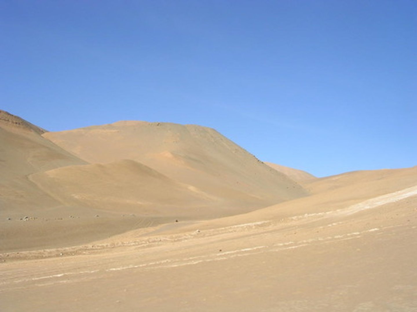 <p>a large area of land with little or no moisture or vegetation</p>