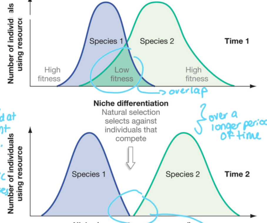 <p>Explain these two graphs </p>
