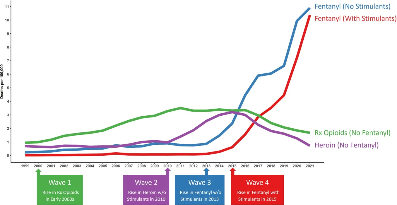 <p><span>Mortality rates are high for opioid addicts. High risk for HIV infection due to shared needles</span></p>