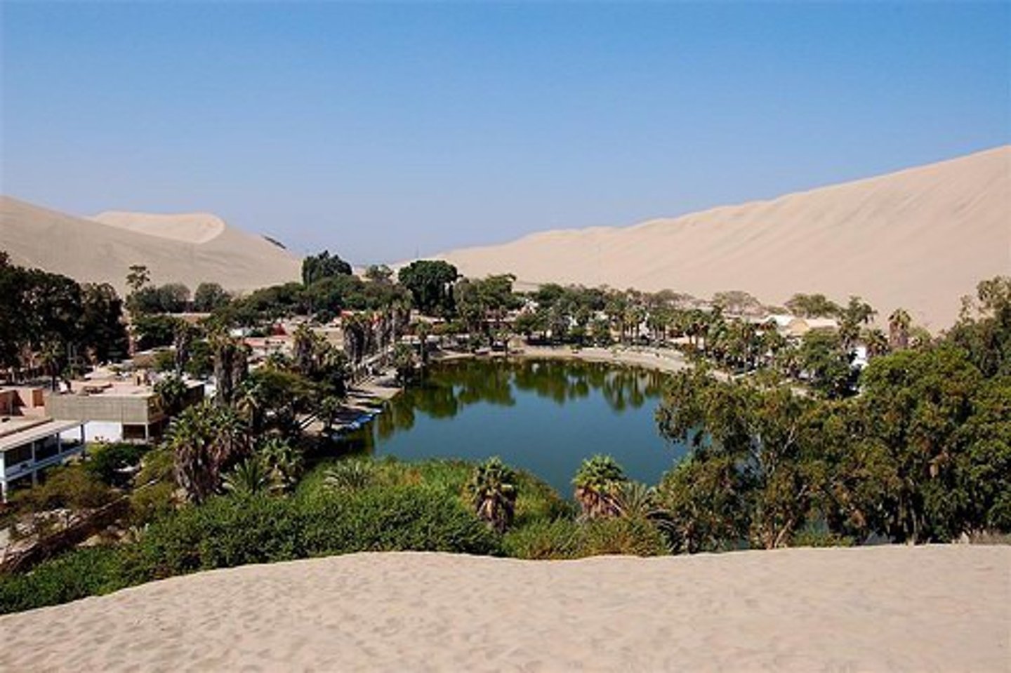 <p>A fertile place in a desert where there is water and vegetation</p>