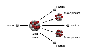 <ul><li><p>lots of energy</p></li><li><p>2 smaller nuclei</p></li><li><p>3 more neutrons</p></li></ul>