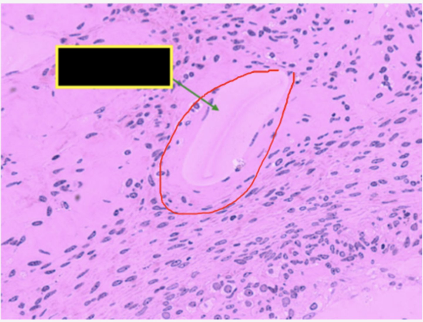 <p>Identify the structure</p>