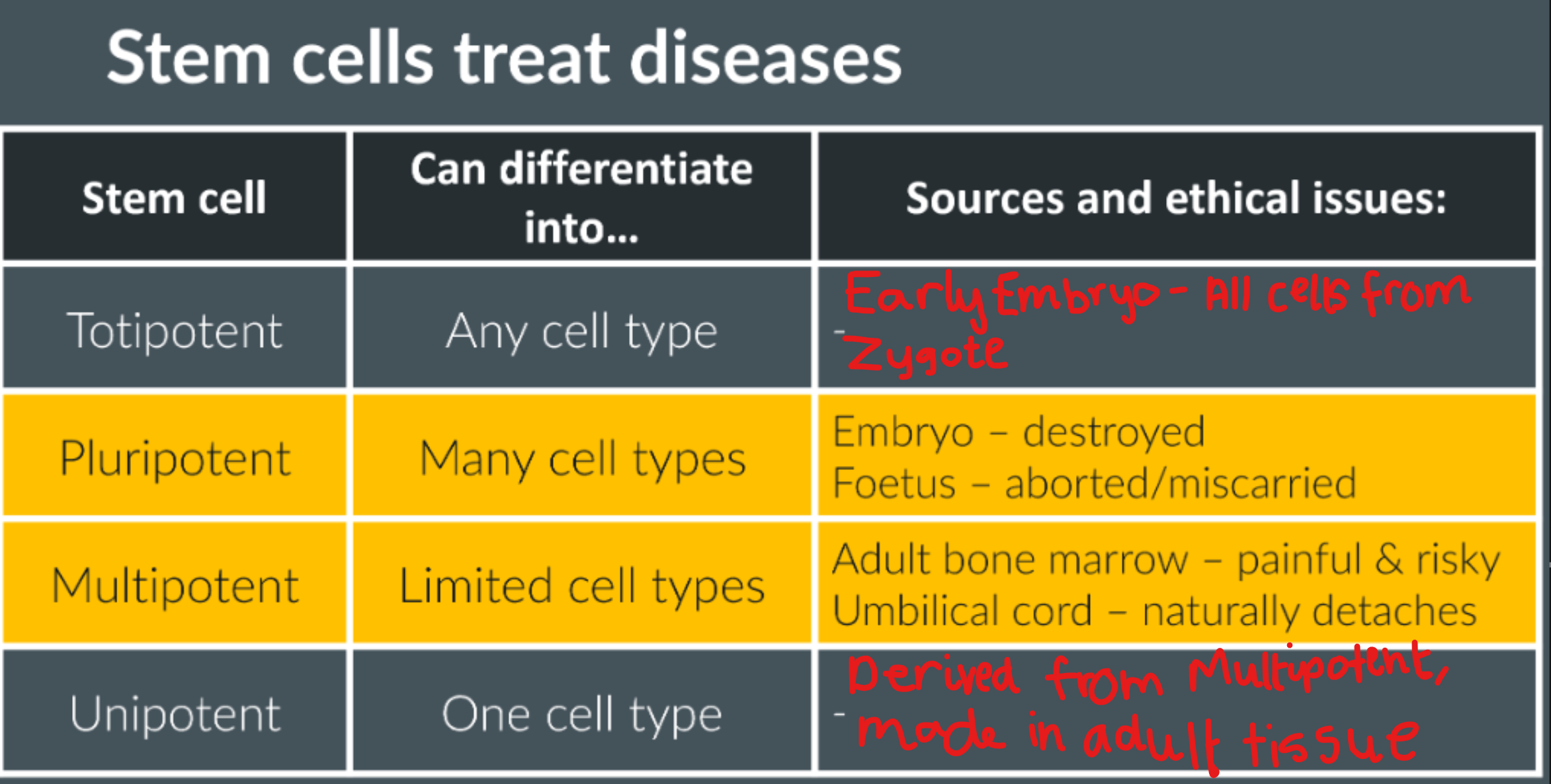 <p></p><p>The acronym: Today People Must Understand</p><p>A differentiated cell means only certain genes in their cell is transulated, giving each cell its specialised function. This is irreversible, because when specialised cells divide they can only form more of the same cell.</p><p>The importance of genes being switched on and off:</p><ul><li><p>Proteins only synthesised that are useful for the cell, so no waste products and converse energy</p></li></ul><p>A stem cell, can form new stem cells or differentiate into other cells.</p>