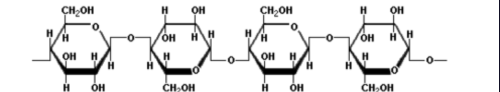 <p>What is this molecule?</p>