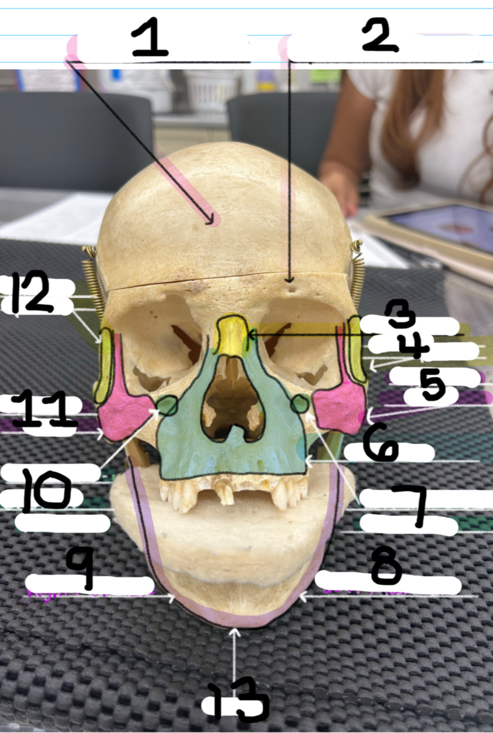 <p>6</p>