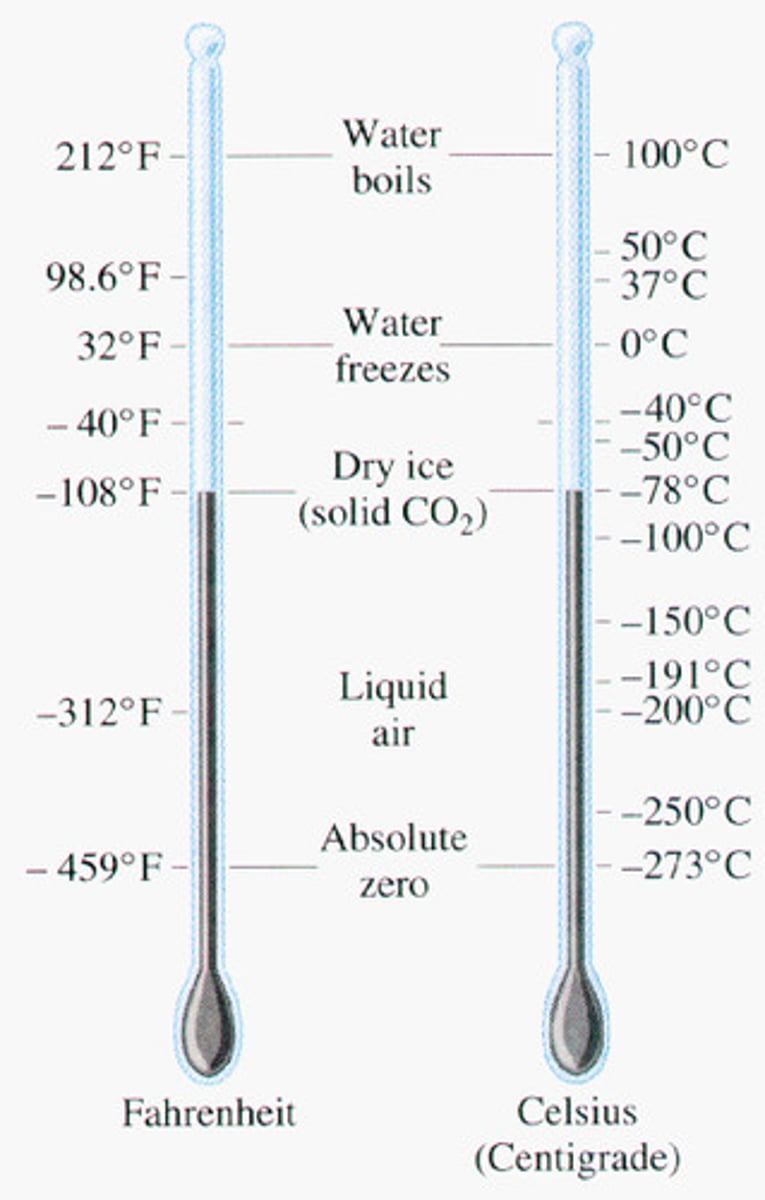 <p>A temperature scale used by scientists to measure thermal energy.</p>