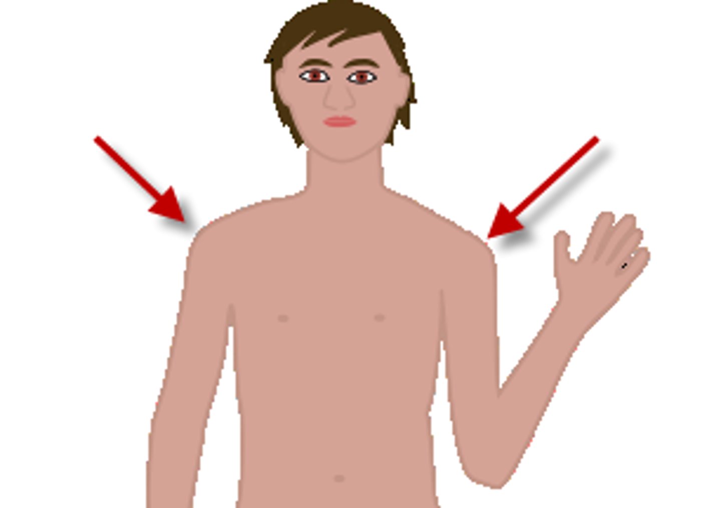 <p>shoulder / Vai (Cái) (l' thay la vì épaule bắt đầu bằng nguyên âm)</p>