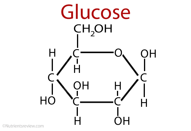 <p>a monosaccharide that can come in linear (power) or ring (water) form</p>