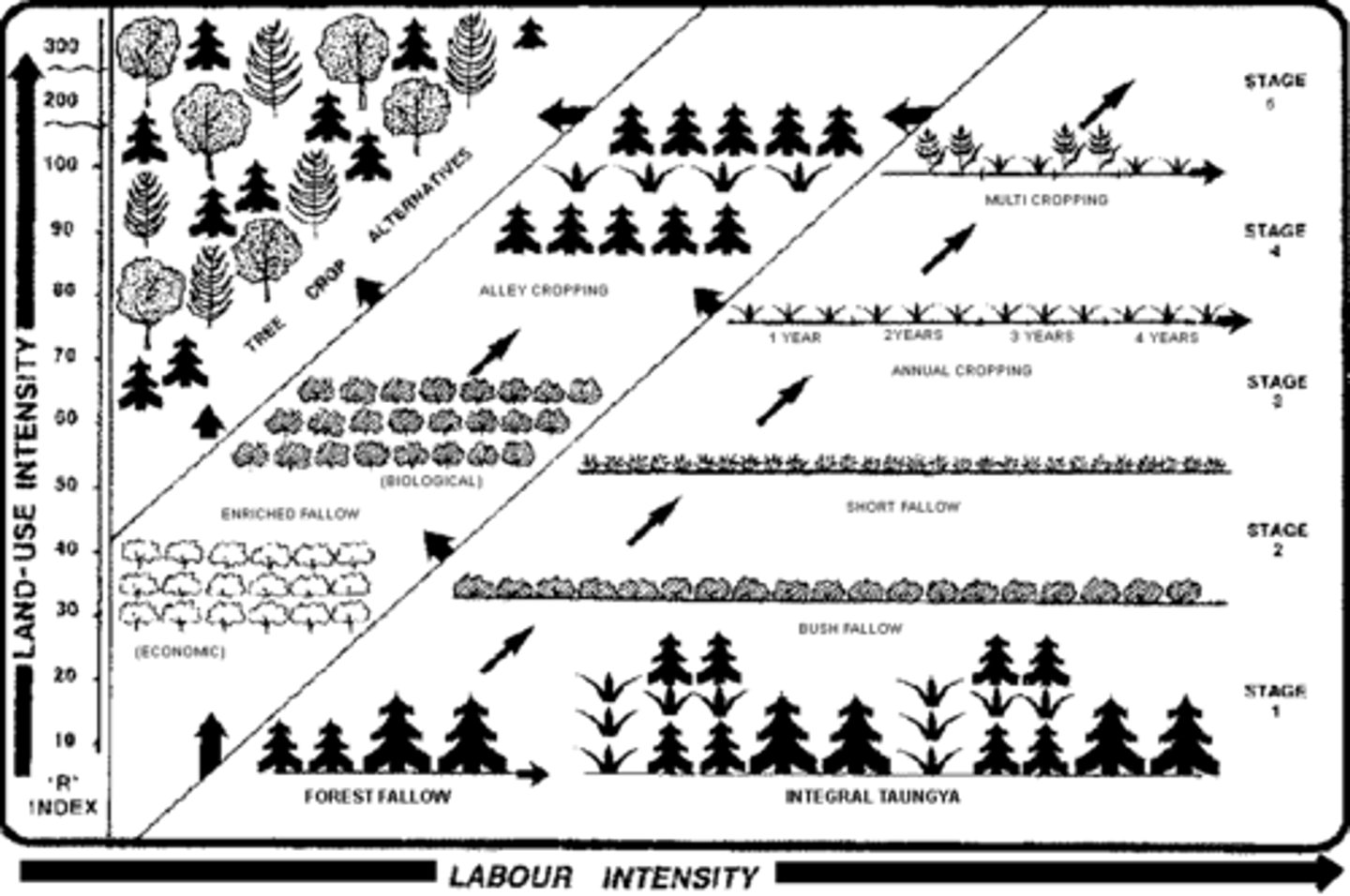 <p>observed that population increase necessitates increased inputs of labor and technology to compensate for reductions in the natural yields of swidden farming.</p>