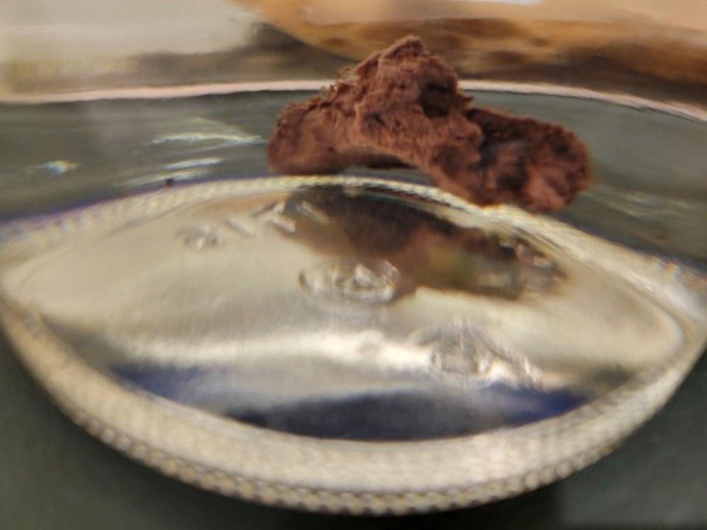 <p>Identify Taxonomy</p>