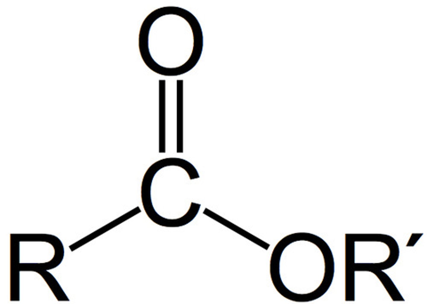 <p>carboxylic acid derivative where -OH is replaced with -OR</p>