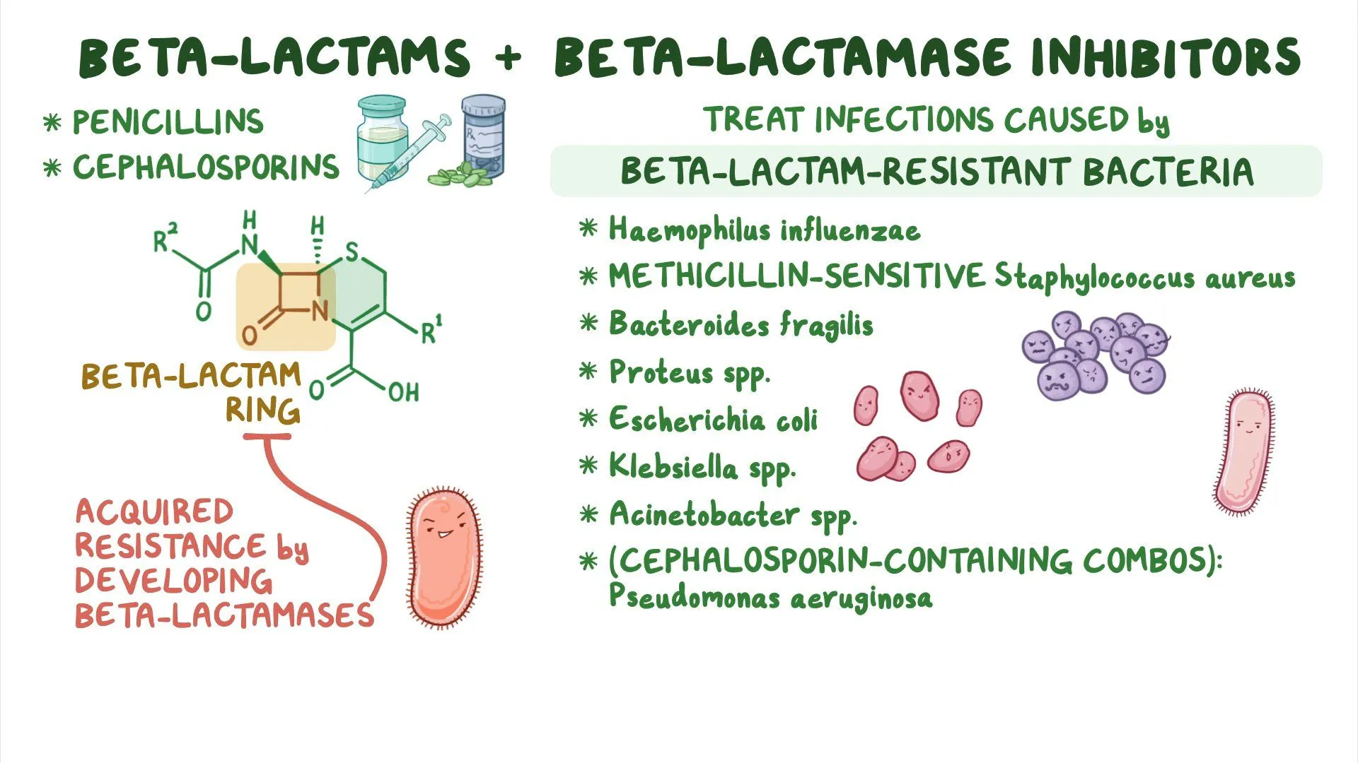 <p>What did the enzyme Beta-lactamase do?</p>