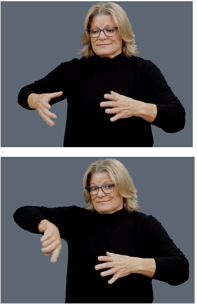 <p>Place your palms apart from each other to create a wide circle;  then use your left pointer finger to draw a circle including yourself</p>