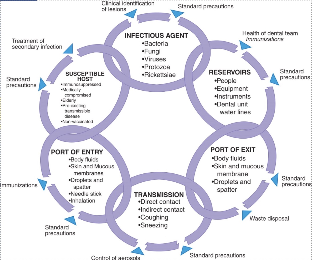 <p>infectious agent, reservoir, port of exit, transmission, port of entry, and susceptible host </p>