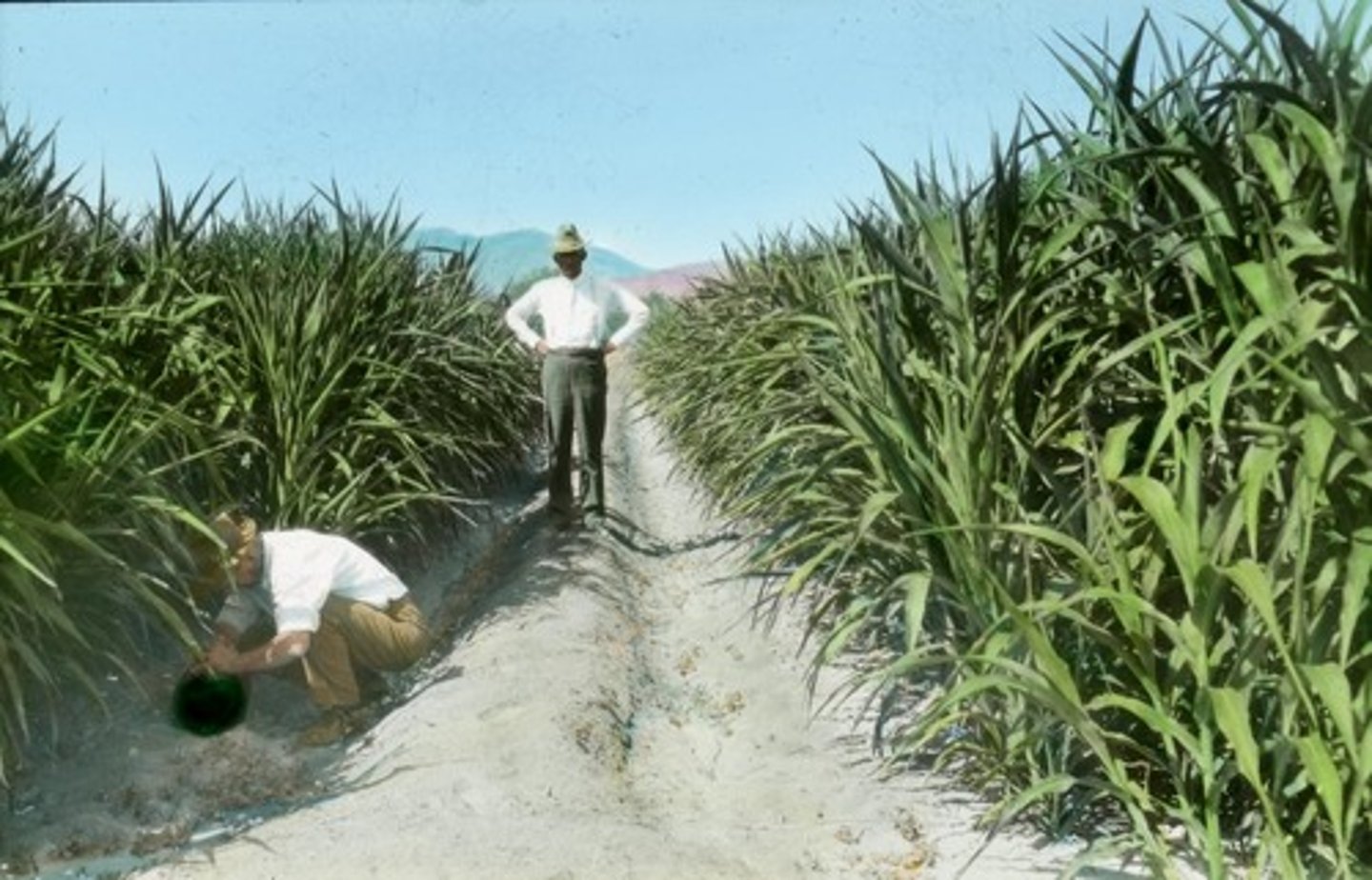 <p>The events in Cuba between 1917 and 1922, when the United States Marine Corps was stationed on the island.</p>