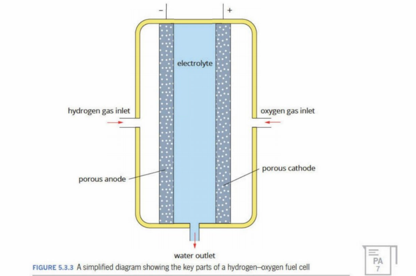 knowt flashcard image