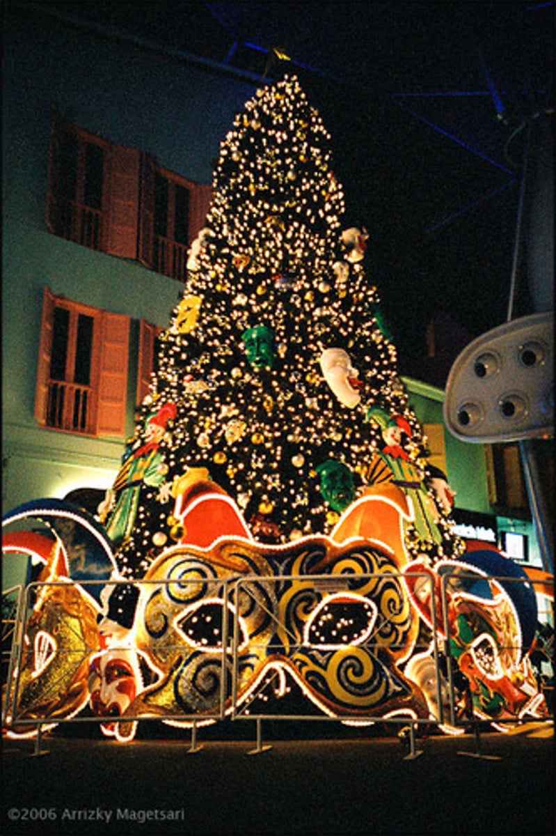 <p>You will go to the Christmas party,</p>