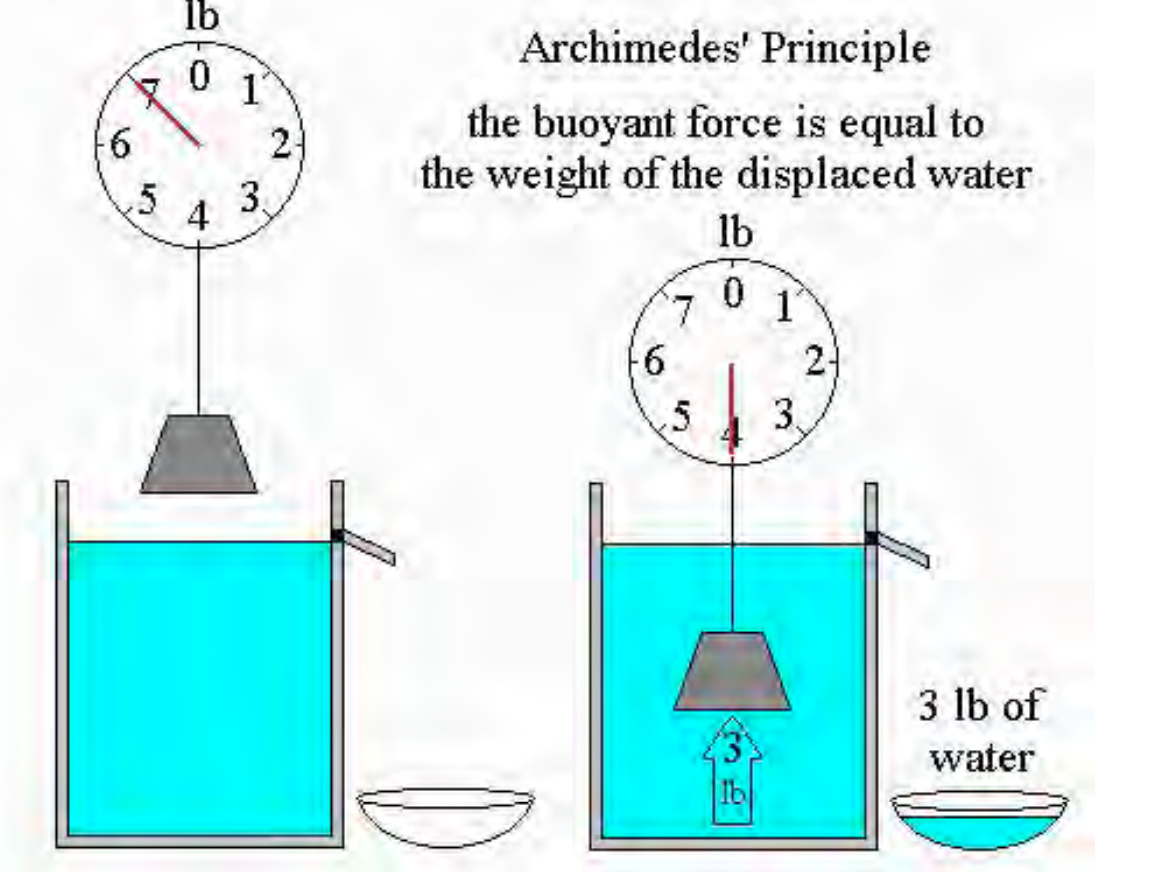 <p>the boyant force in = to the displaced water</p>