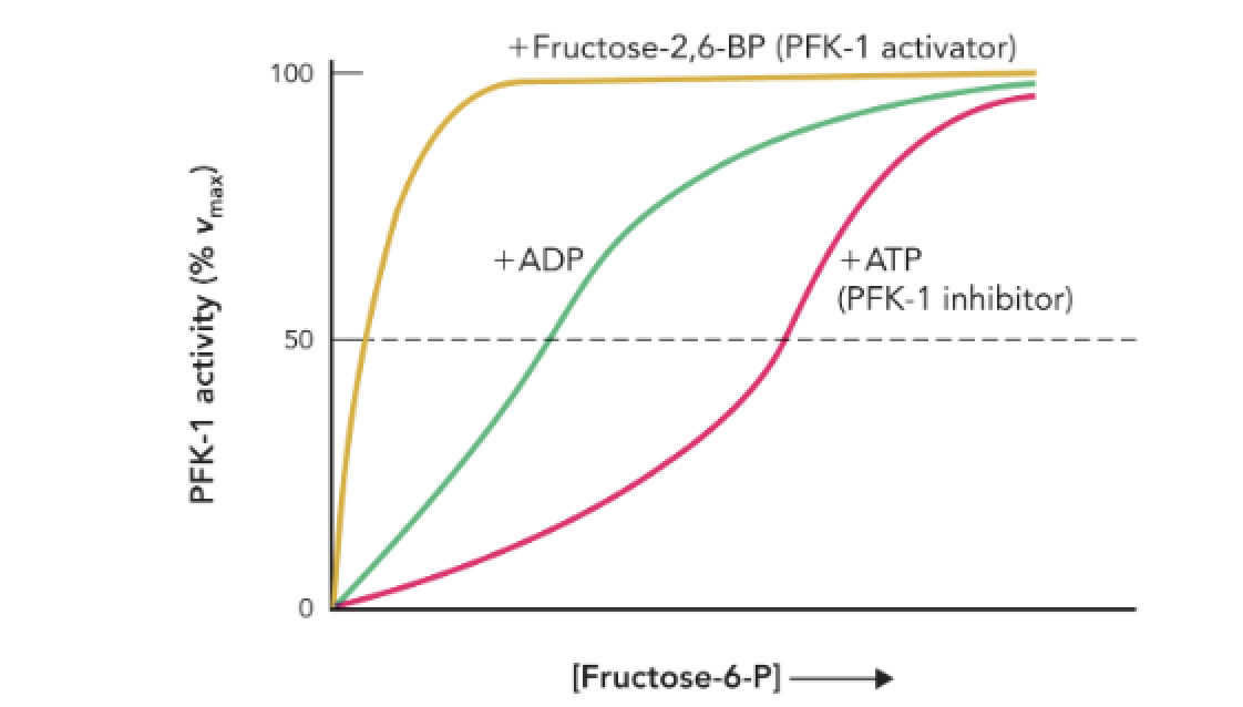 <p><strong>Q:</strong> What does Figure 9.42 show about PFK-1 activity?</p>