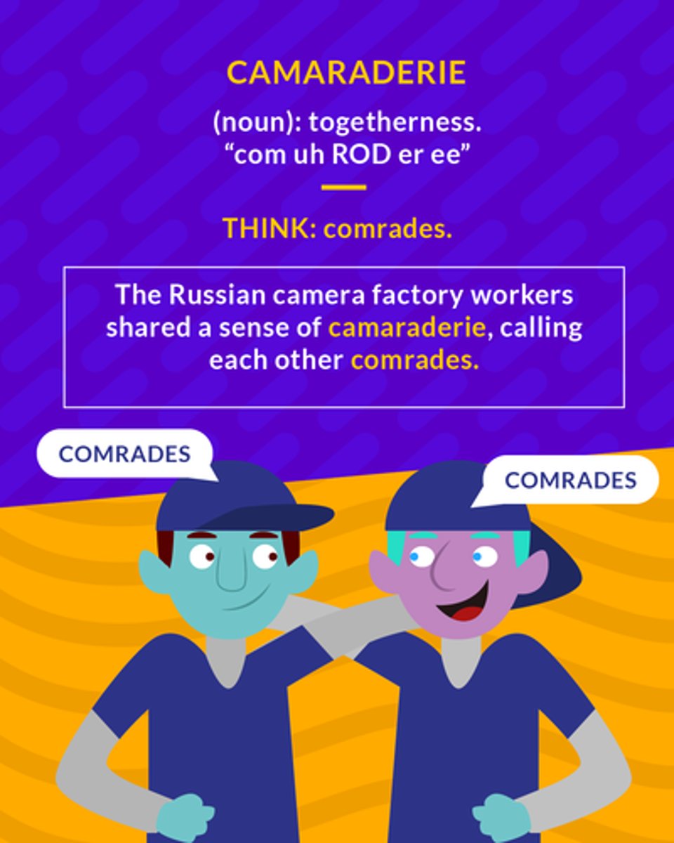 <p>(noun) togetherness, trust, group dynamic of trust</p>
