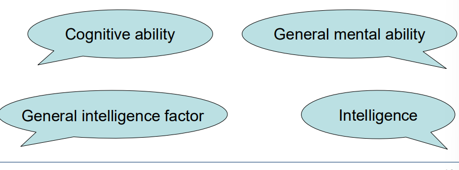 <p>A person possesses a certain amount of general intelligence (g), that influences their ability on all intellectual tasks</p>
