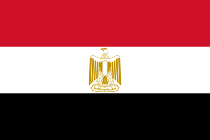 <p>The revolutionary flag + the eagle of Saladin (the national emblem).</p><p>Red = blood in the war against colonization. </p><p>White = purity of the people’s hearts.</p><p>Black below white = the manner in which darkness is overcome.</p>
