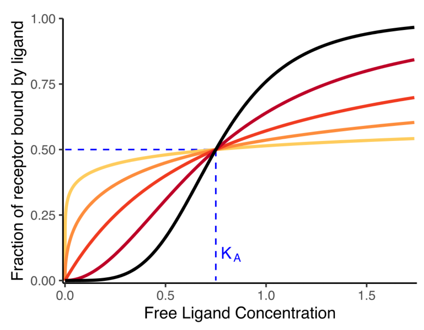<p>dark orange type of curve</p>