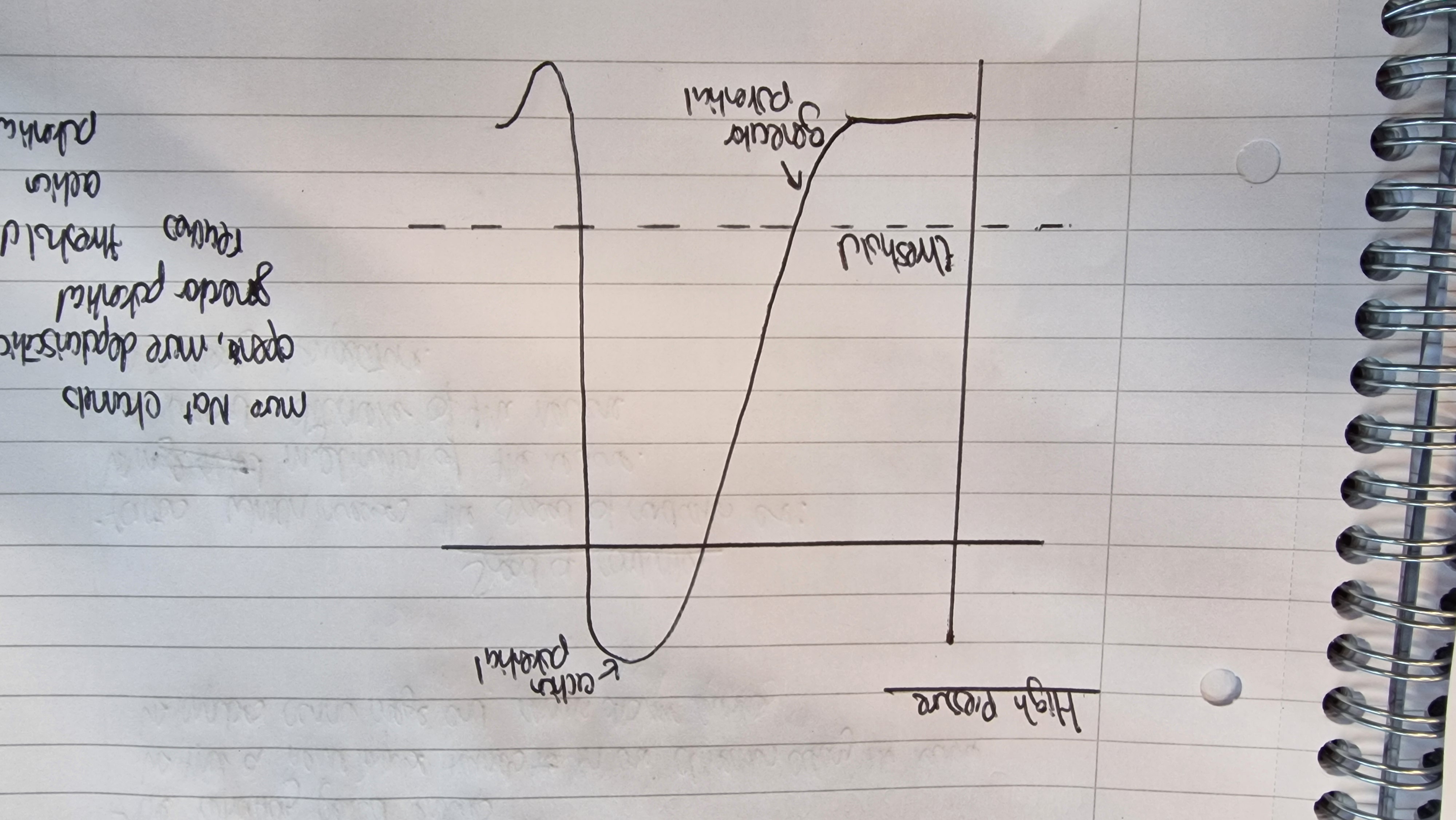 <p>more Na+ channels open, more depolarisation, generator potential reaches threshold —&gt; action potential</p>