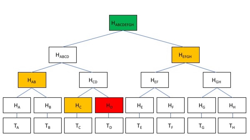 <p>Pour savoir si Td est dans l’arbre de Merkle, il faut télécharger seulement une partie de l’arbre de Merkle</p><ul><li><p>les nœuds intermédiaires en orange,</p></li><li><p>la racine en vert, qui sera aussi dans la chaine de blocs</p></li><li><p>Calculer Hd, puis Hcd, etc.</p></li></ul>
