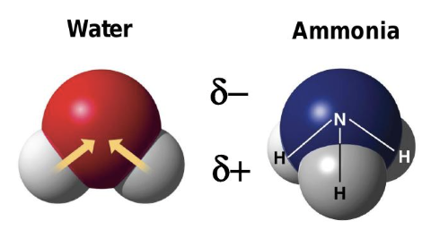<p>unequal electron sharing, partial charges, often asymmetrical</p>