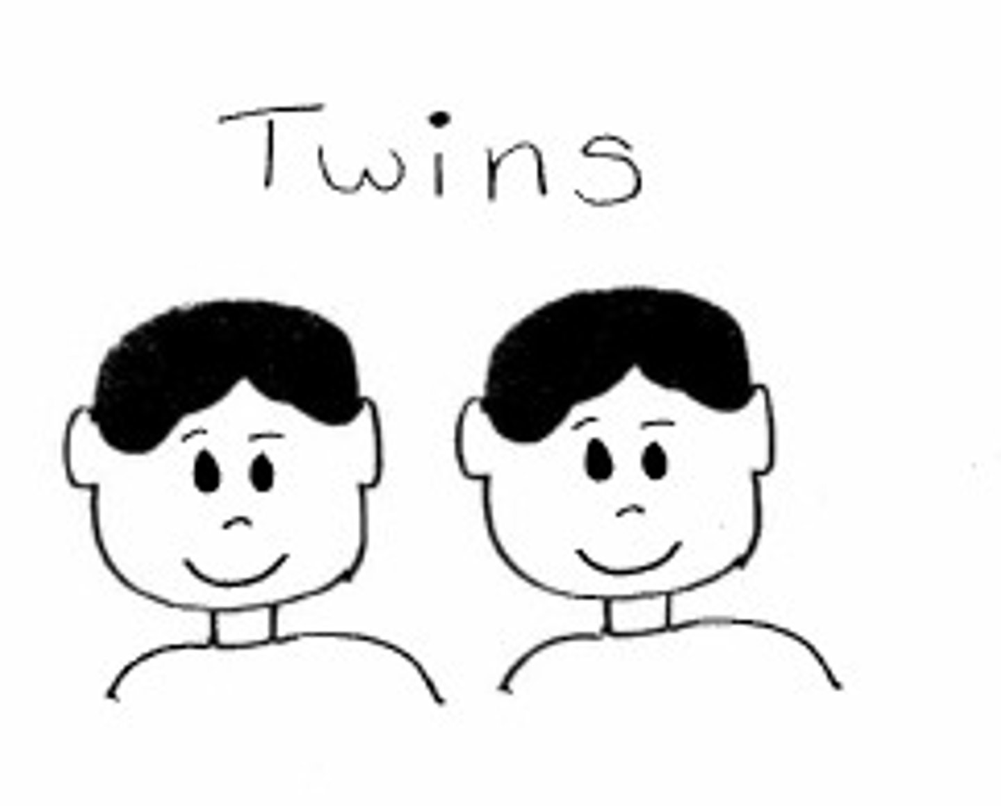<p>twin</p>