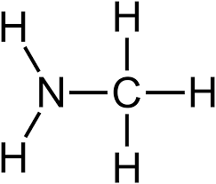 Nitrogen bonded to carbon and two hydrogens

* C-N-H-H
* Found in amino acids and urea in urine from protein breakdown
