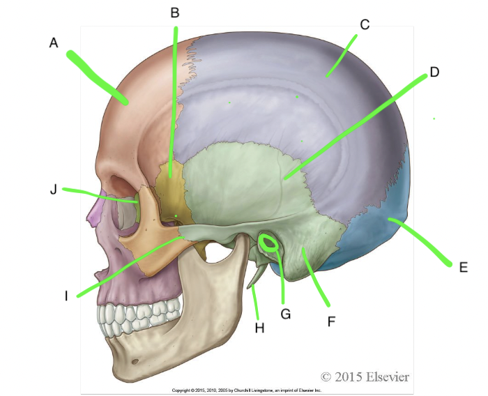 <p>I</p>