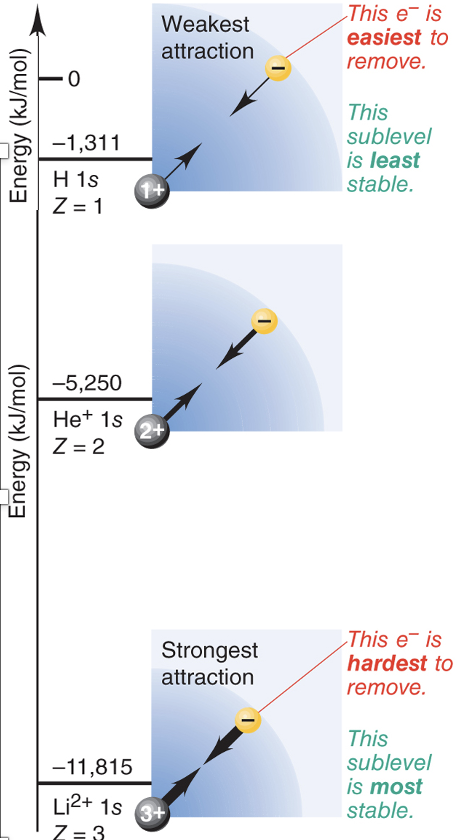 <ul><li><p>A higher nuclear charge (more protons) increases nucleus-electron attractions, lowering the sublevel energy and stabilizes the atom (lower E = good!)</p></li></ul>